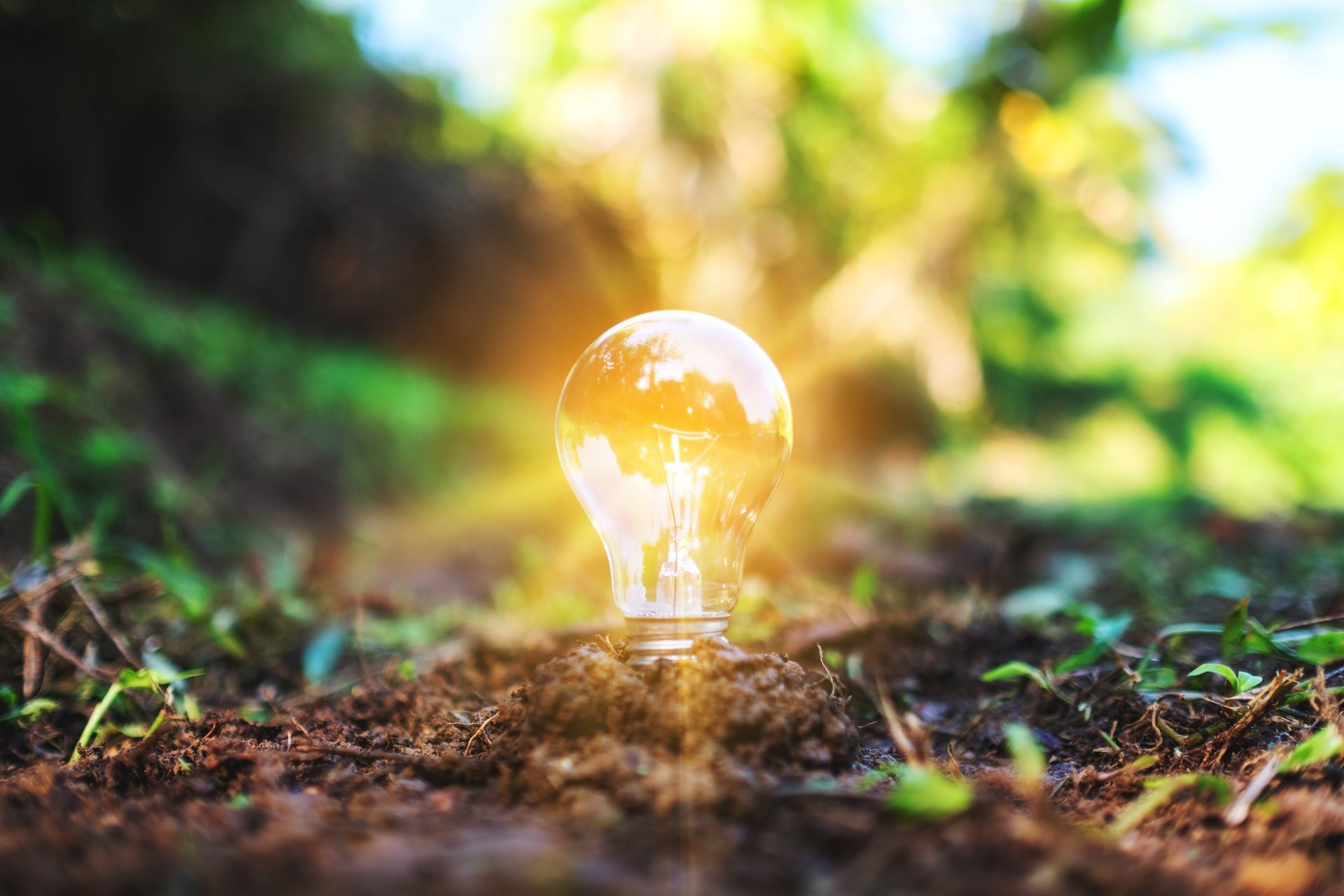 A light bulb is sitting on top of a pile of dirt.