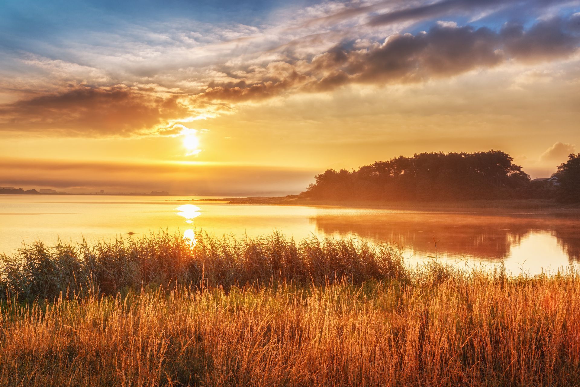 The sun is setting over a lake with tall grass in the foreground.