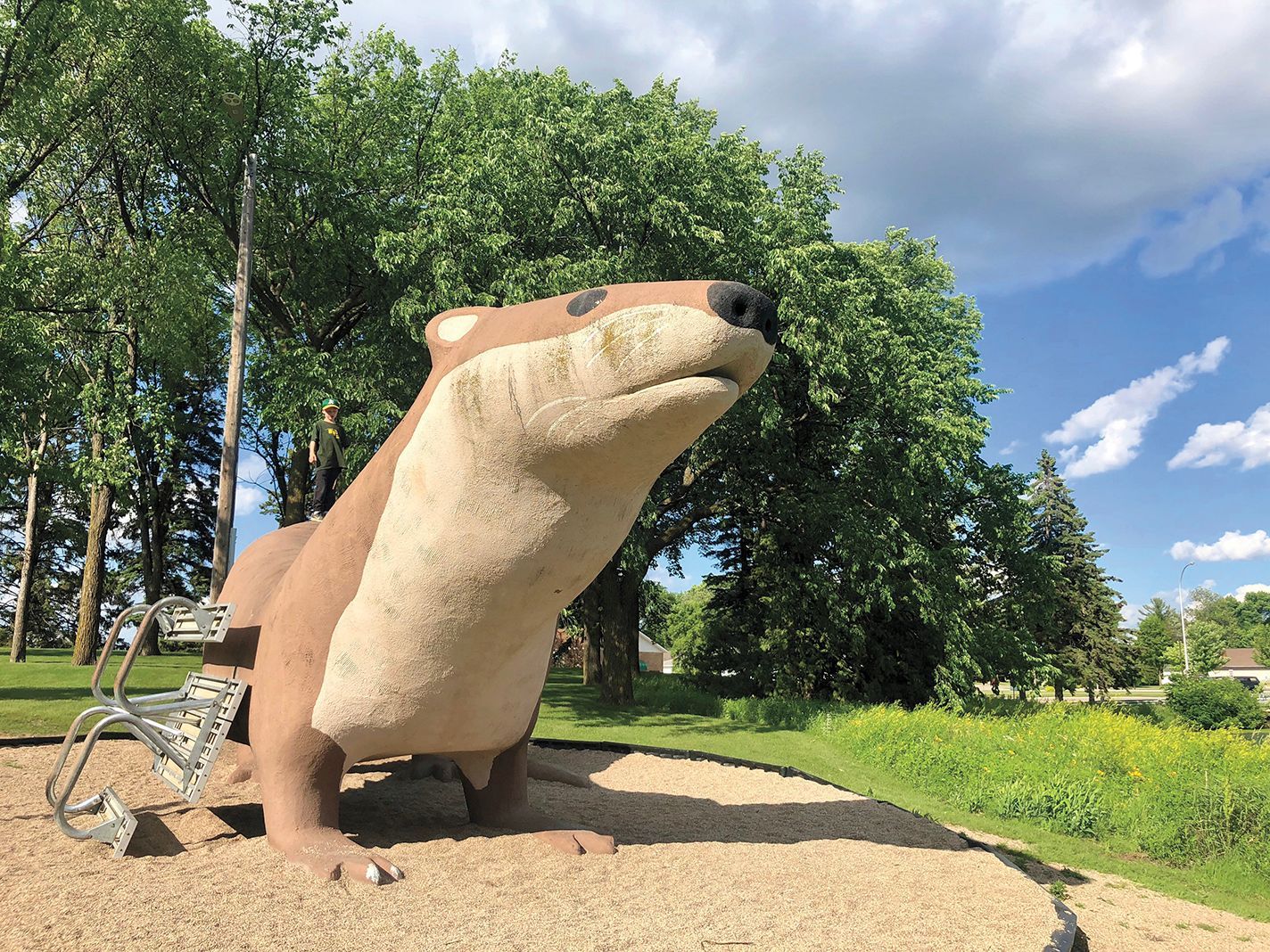 otter in park