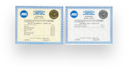 Two ASE certification documents with blue borders and official seals.