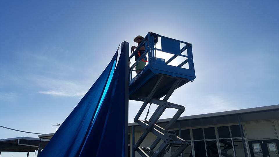 Gallery Stingray Shade & Vinyl