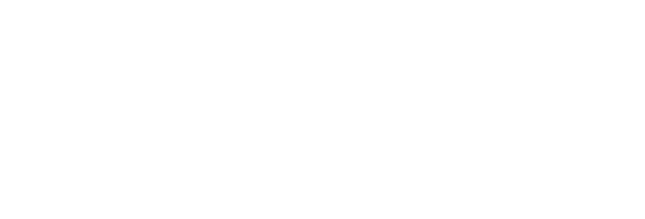לוגו נפלאות הגיטרה