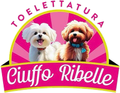 Toelettatura Ciuffo Ribelle