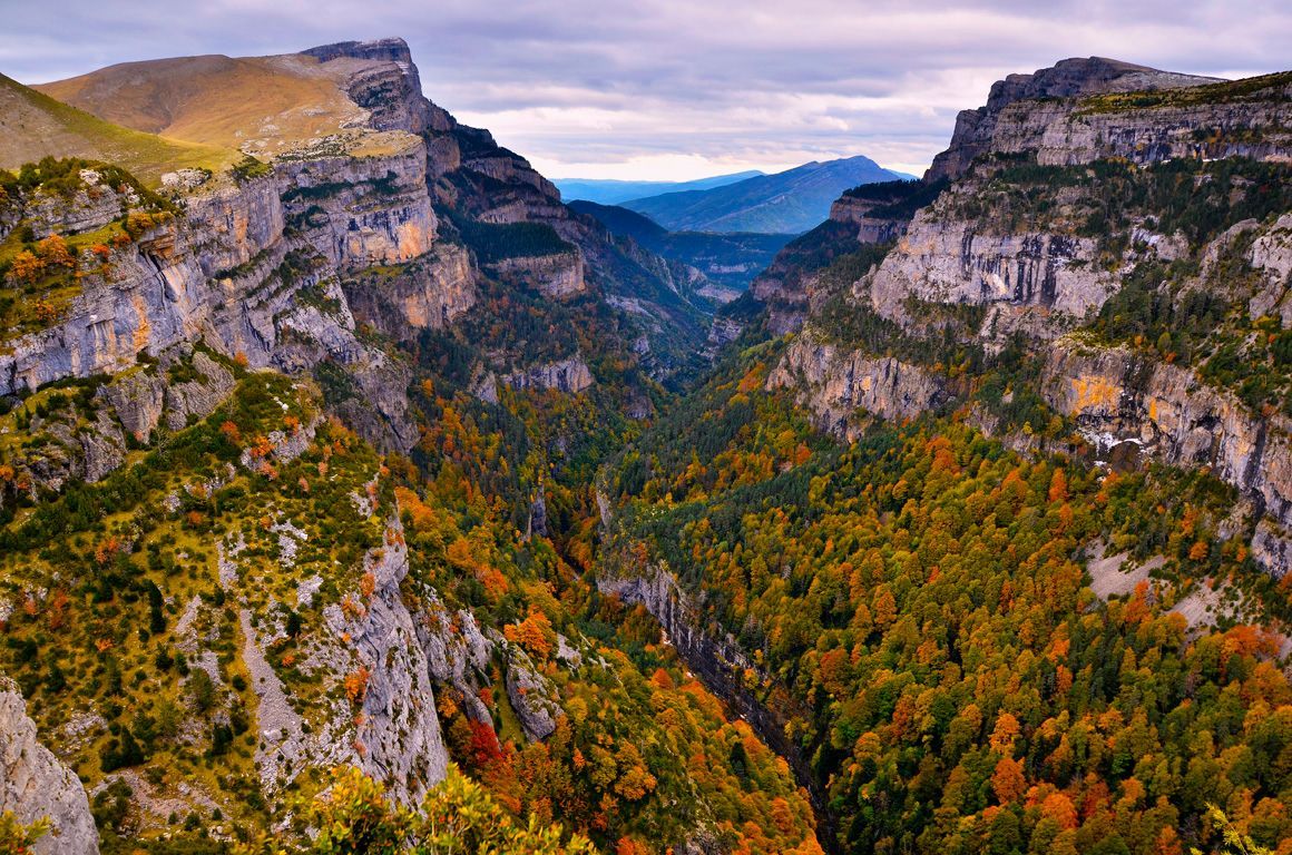 Cañón con paredes rocosas escarpadas y bosque otoñal; cielo nublado.