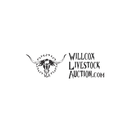 Willcox Livestock Auction