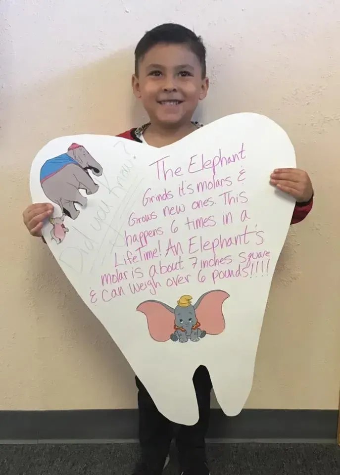 Boy holding a giant tooth-shaped sign. Text on the sign discusses elephants.