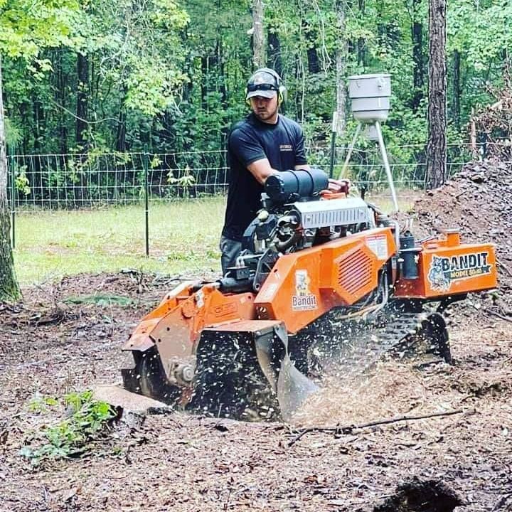 stump grinding process