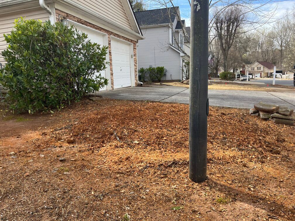 stump grinding service