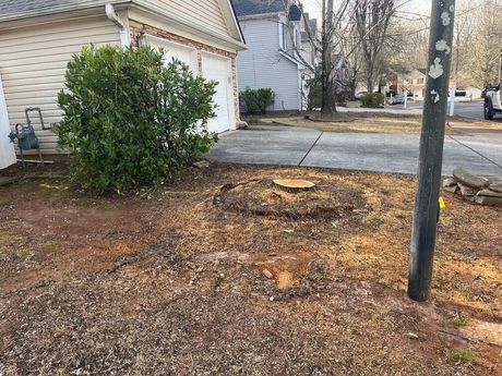 tree stump grinder