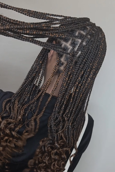 Person with box braids, some with blonde highlights. Braids cascade down, ending in curly hair.