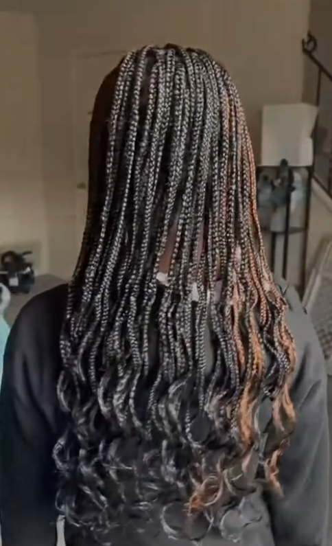 Person with long, wavy box braids, mostly dark with auburn tips, from the back.