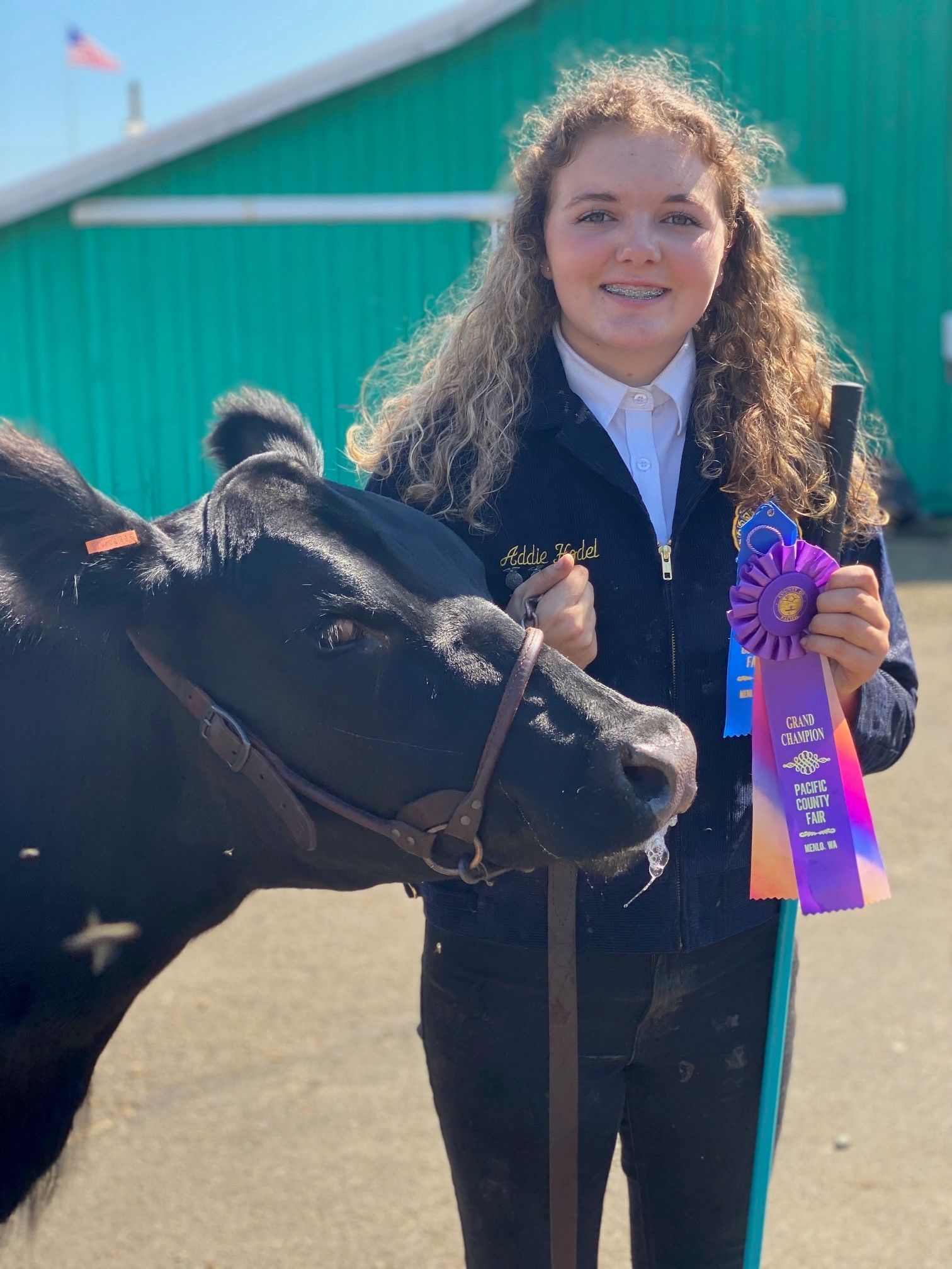 A woman is holding a ribbon next to a black cow.