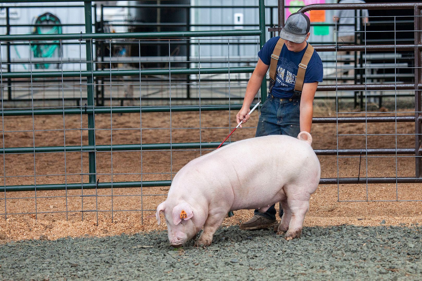 Pacific County Fair Event Details Washington