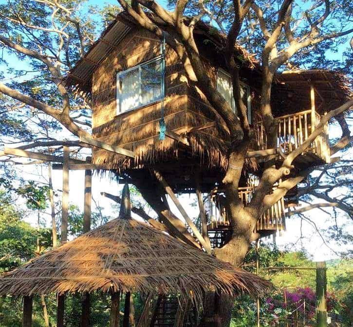 Treehouse with thatched roof and a small gazebo below.