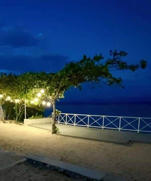 Tree with string lights on a beach at night. White railing overlooks dark ocean under a blue sky.