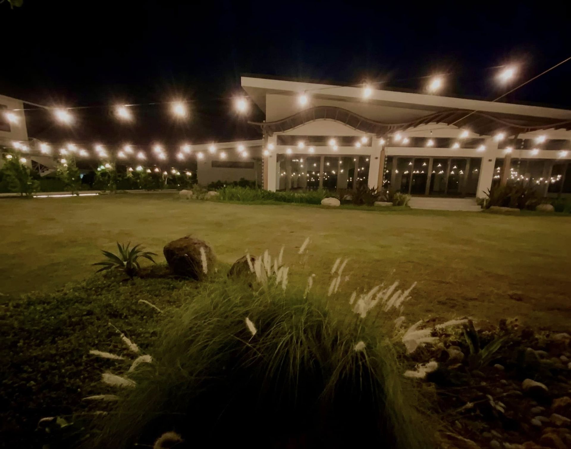 Nighttime outdoor venue with string lights, grassy area, and a white building.