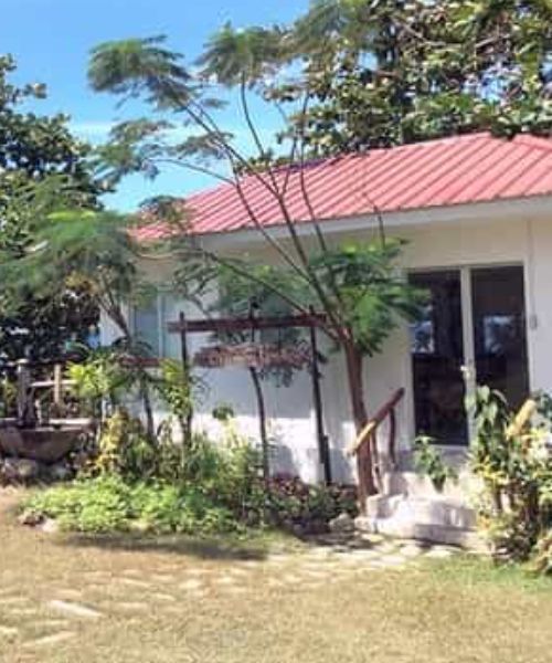 White building with red roof, garden, and a tree in front.
