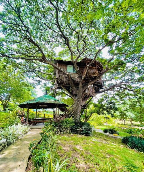 Treehouse built in a large tree with a gazebo nearby; pathway leads to the tree in a grassy area.