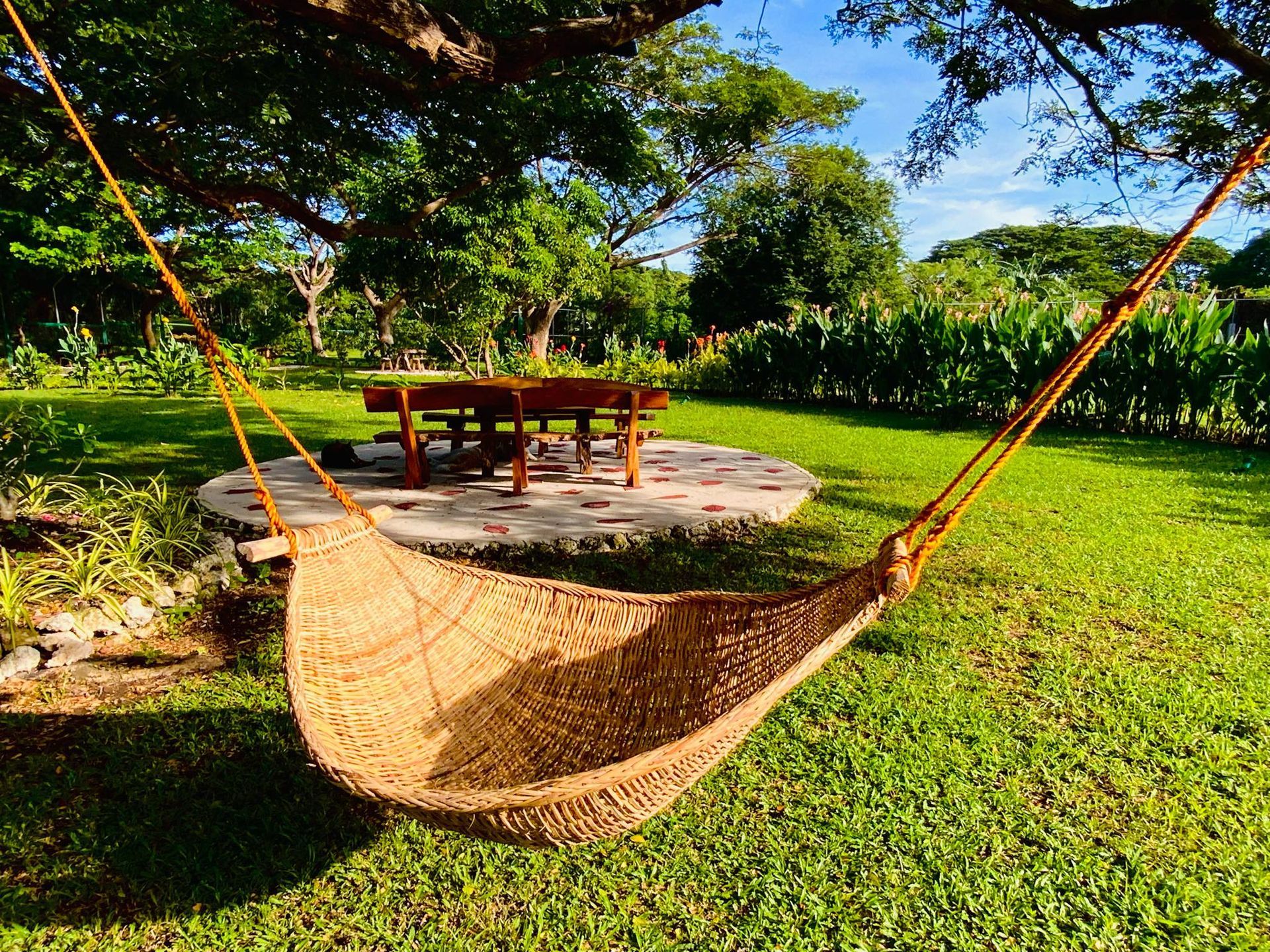 Woven hammock hangs from tree in sunny yard, with a stone patio and table in the background.