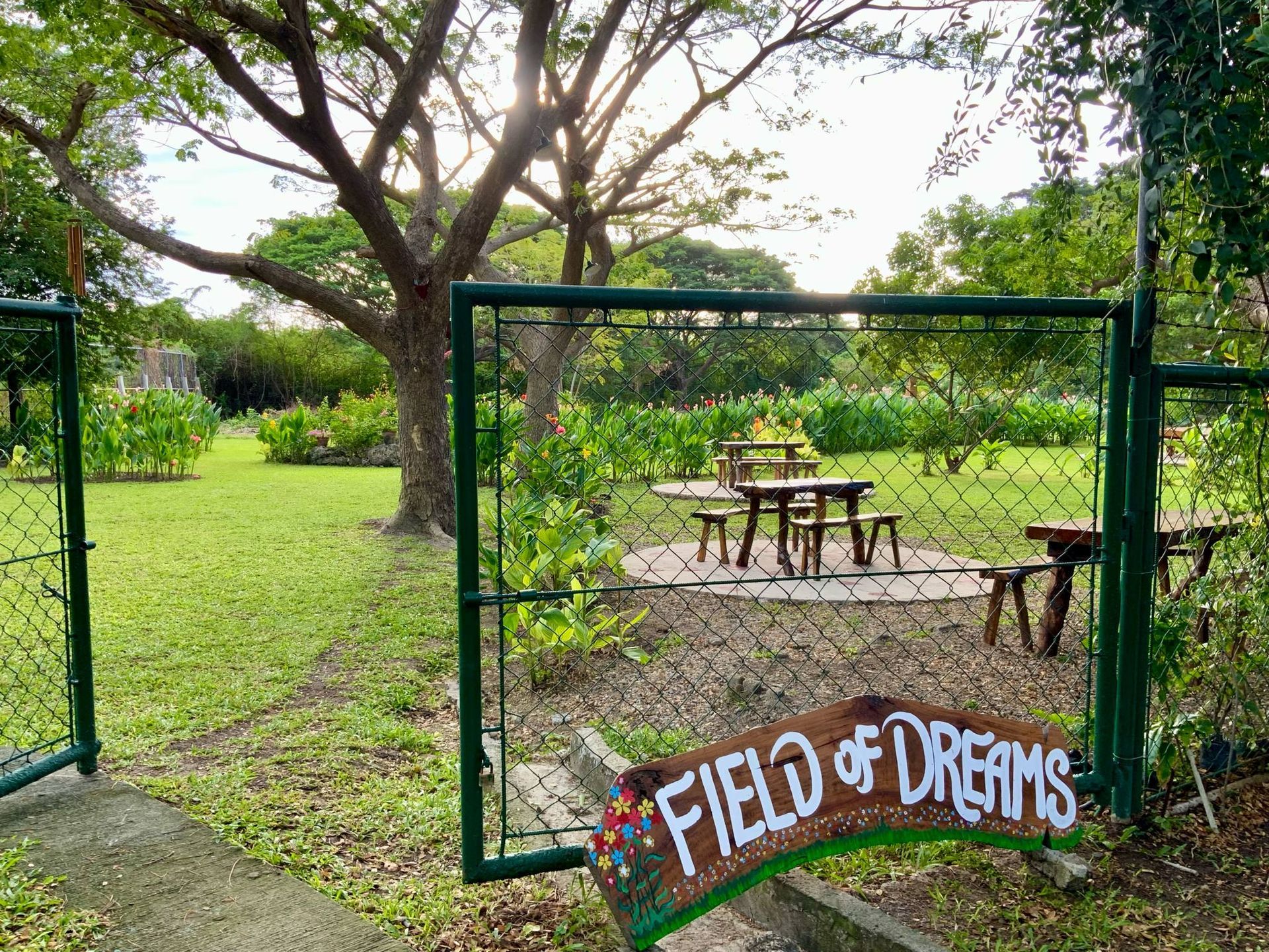 Green gate opens to a garden with a picnic table, and a sign that reads 