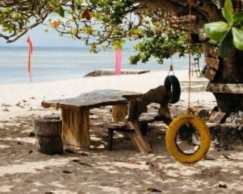 Beach picnic table under tree with tire swings. Ocean background, sandy beach.
