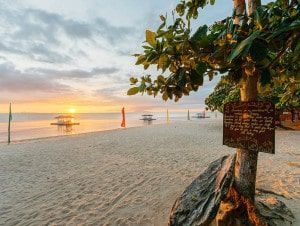 Beach scene at sunset with calm water, boats, and a tree with a sign.