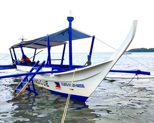 White and blue outrigger boat in the water with a canopy.