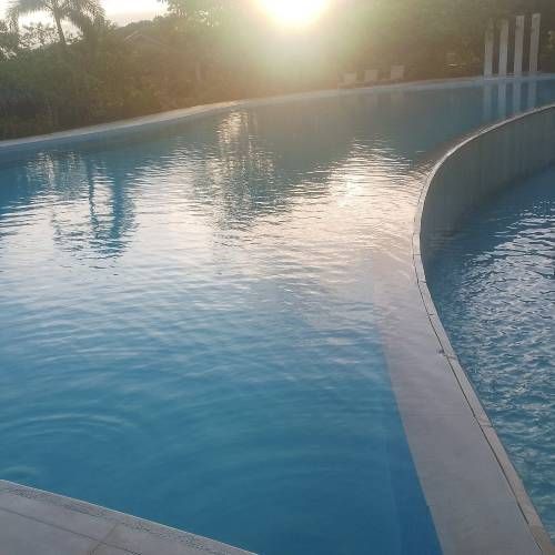 Swimming pool at sunset; blue water, curved edge, and bright sunlight.