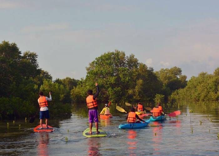 People paddleboard and kayak on a narrow waterway surrounded by lush green trees.