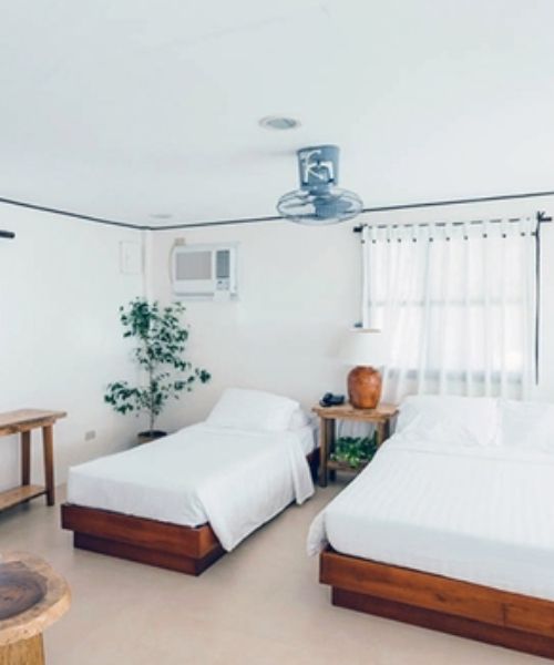 Bright bedroom with two beds, a potted plant, and a window with sheer curtains.