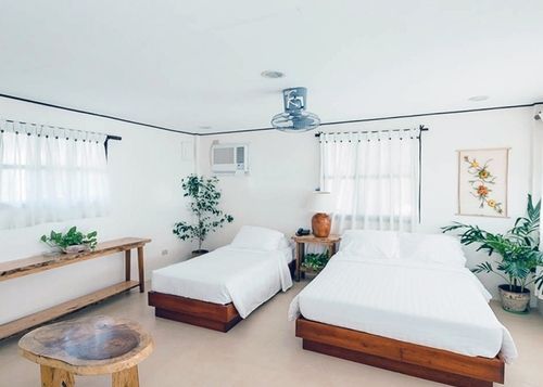 Bright bedroom with two beds, white walls, plants, and natural light.