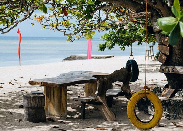 Beach scene with rustic table and swing, under a tree; ocean in background.