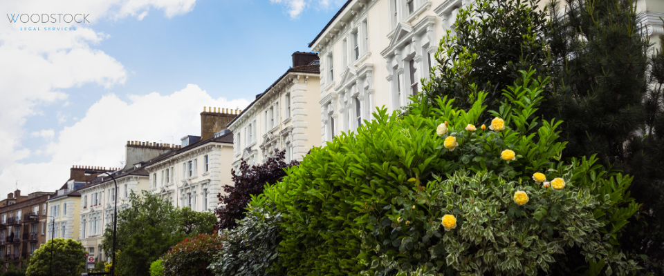 Row of elegant white terraced houses with green bushes and yellow flowers under a blue sky