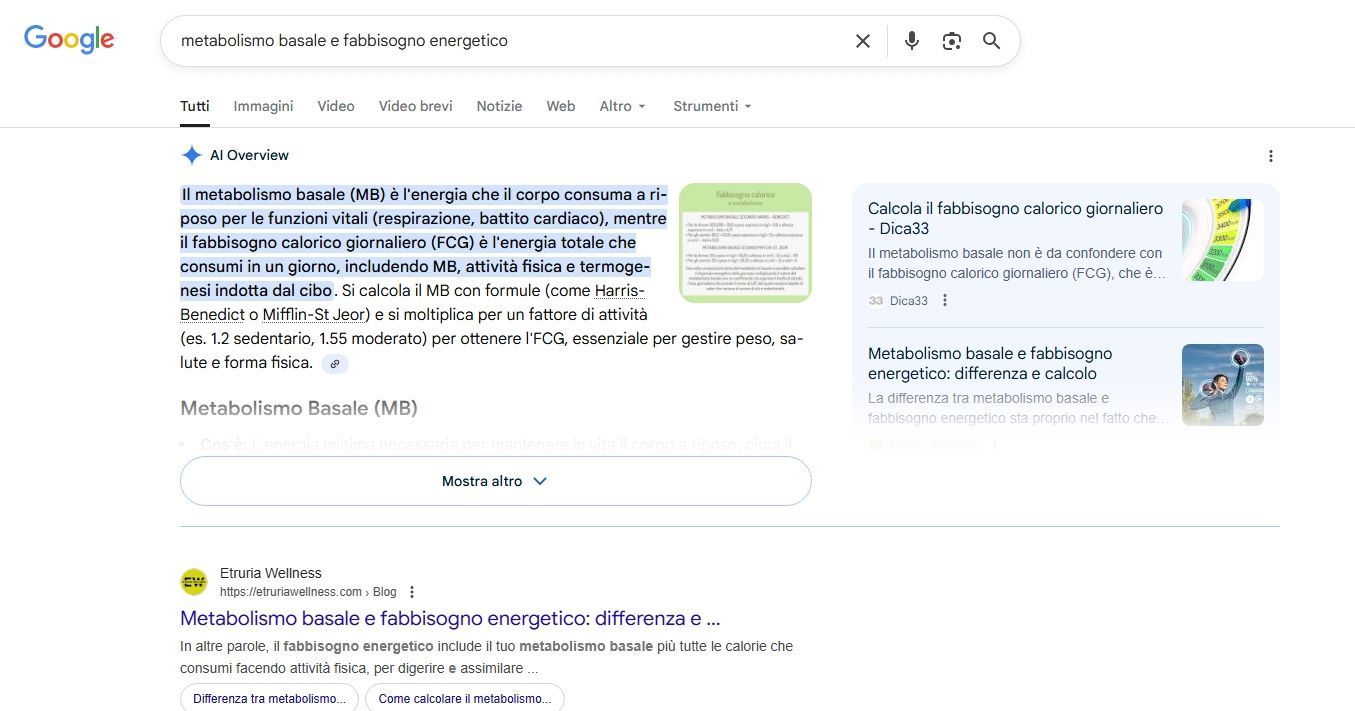 AI overview caso studio wellness
