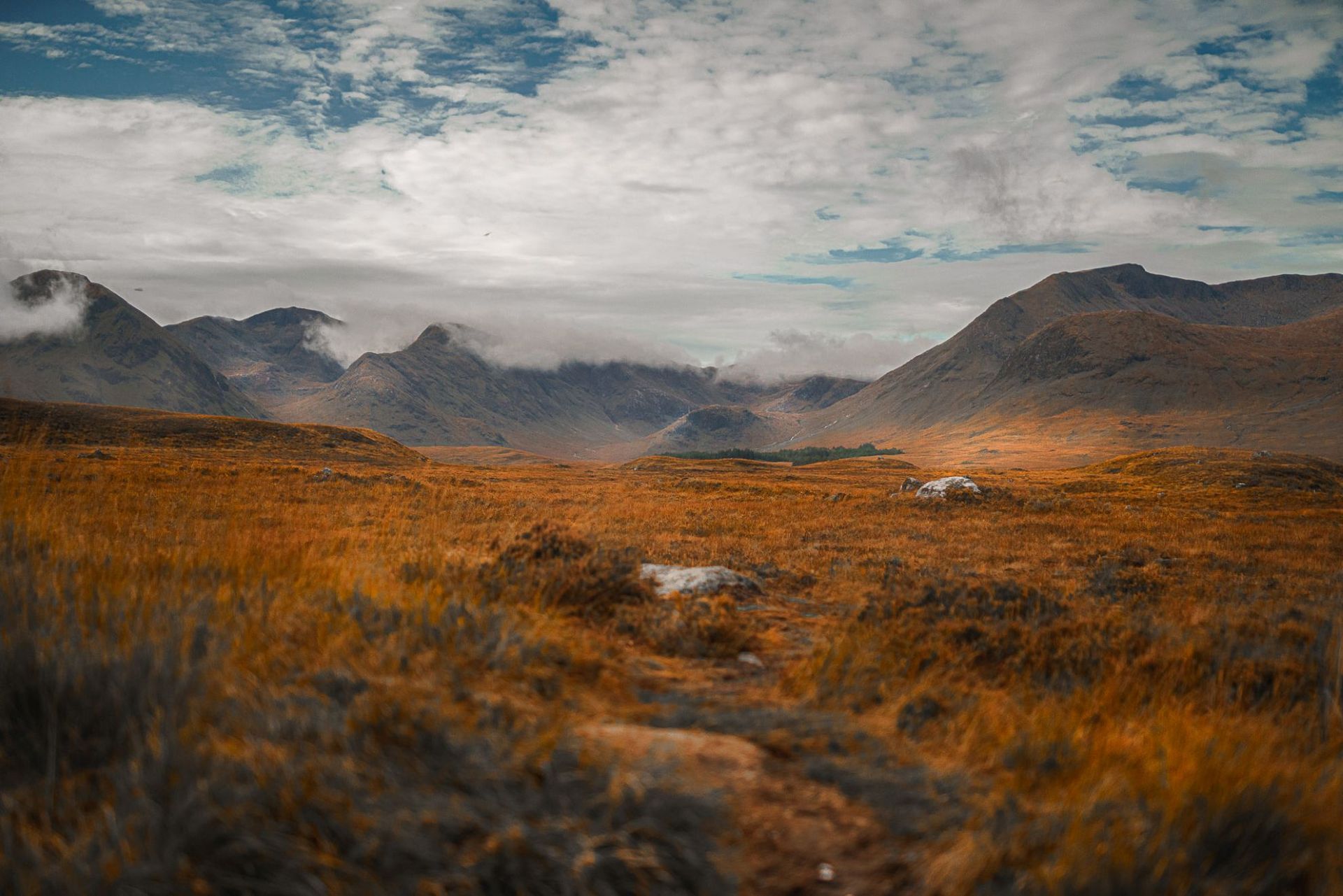 caso studio magic instant travel