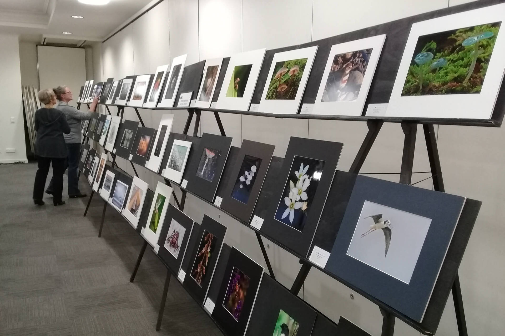 Port Marlborough Pavilion in Picton, Marlborough, NZ