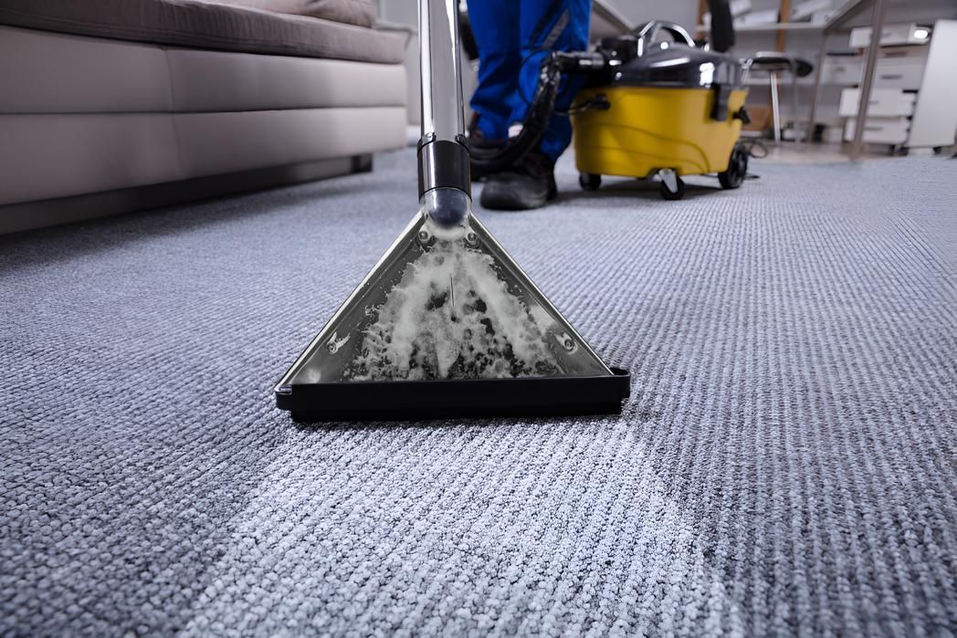 Person is Cleaning a Carpet With a Vacuum Cleaner — Mr Steam Clean Tweed Coast in Currumbin, QLD