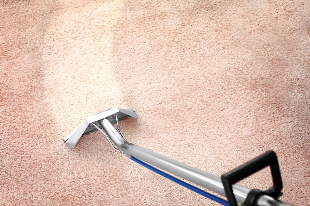 Vacuum Cleaner is Cleaning a Carpet in a Room — Mr Steam Clean Tweed Coast in Terranora, NSW