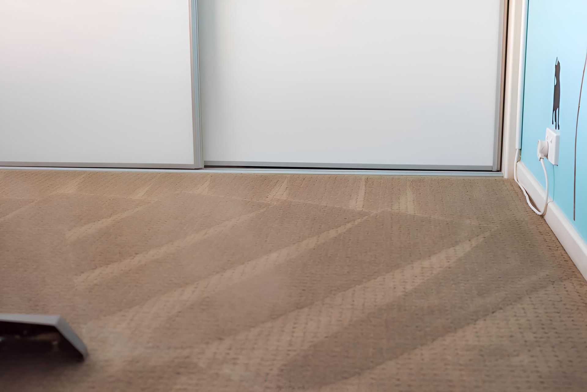 Room With a Carpeted Floor and a White Door — Mr Steam Clean Tweed Coast in Currumbin, QLD