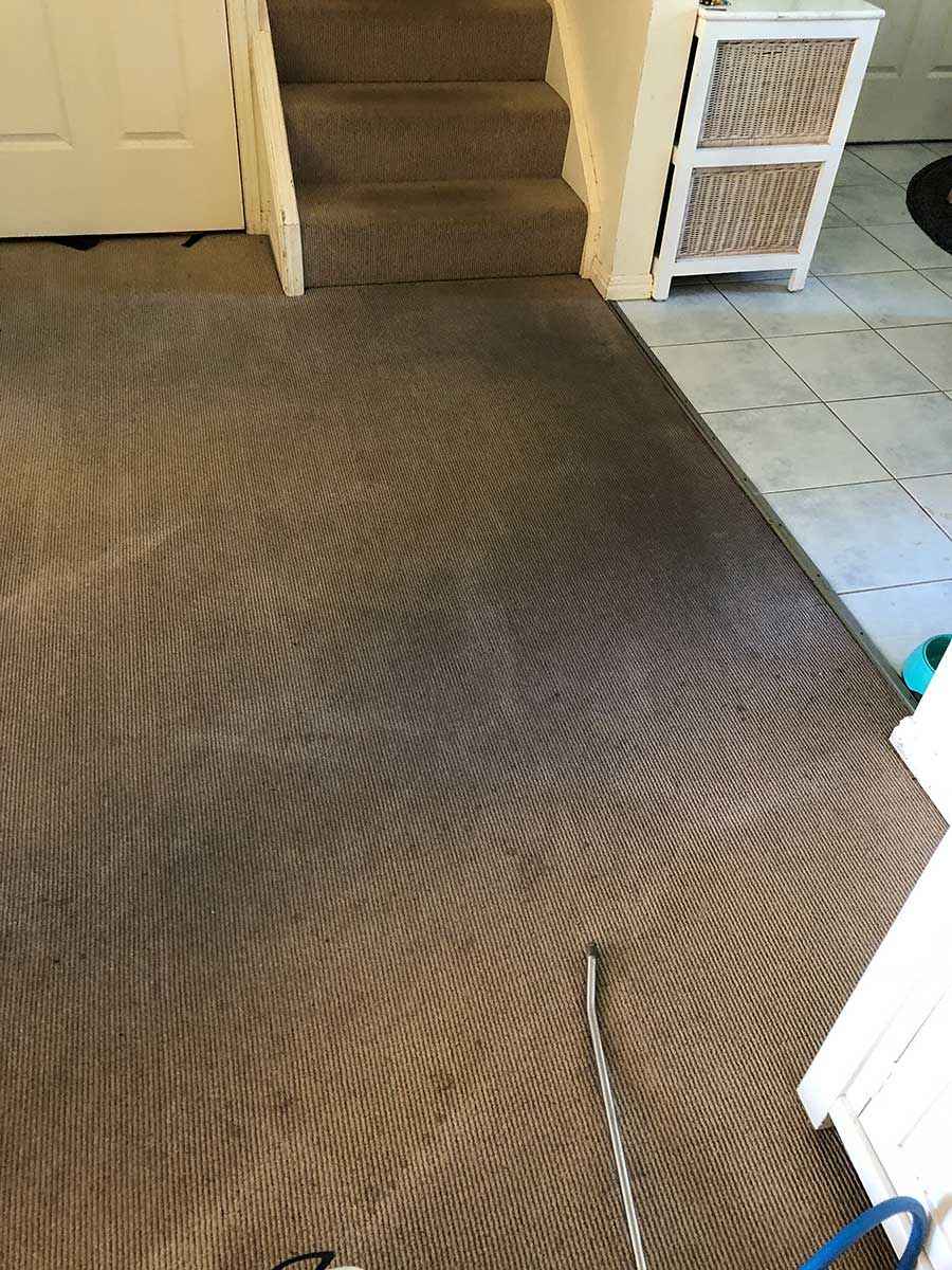 A Dirty Carpet In A Living Room Next To Stairs — Mr Steam Clean Tweed Coast In Banora Point, NSW