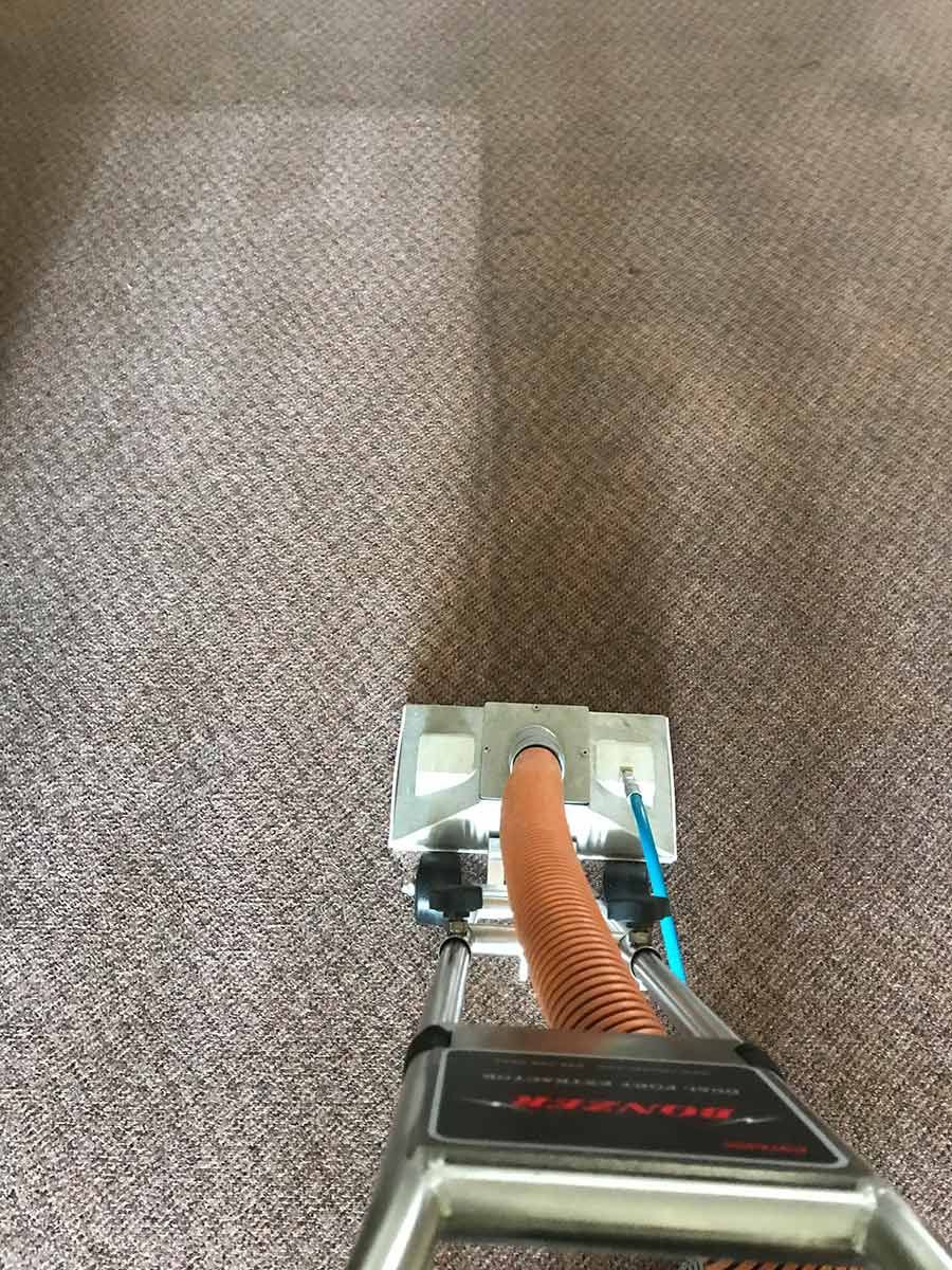 A Vacuum Cleaner Is Cleaning A Carpet In A Room — Mr Steam Clean Tweed Coast In Banora Point, NSW