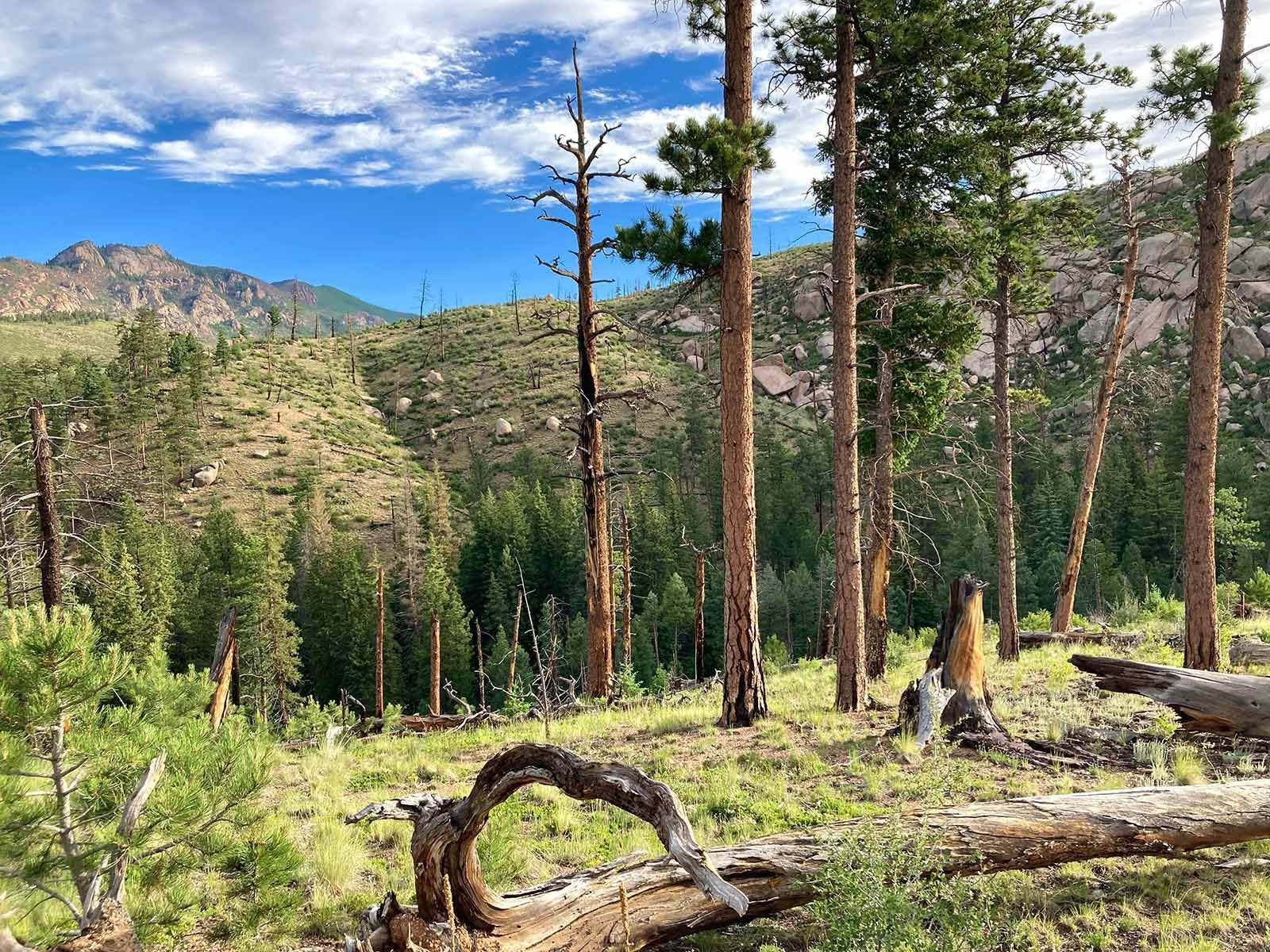 Goose Creek campground, Colorado