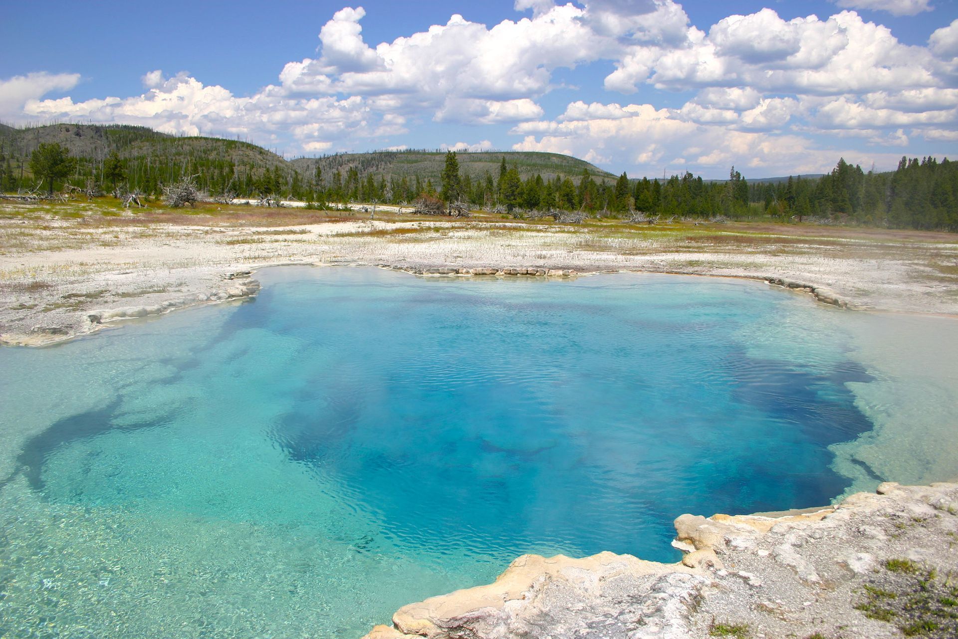 geothermal feature, Biscuit Basin, Yellowstone National Park