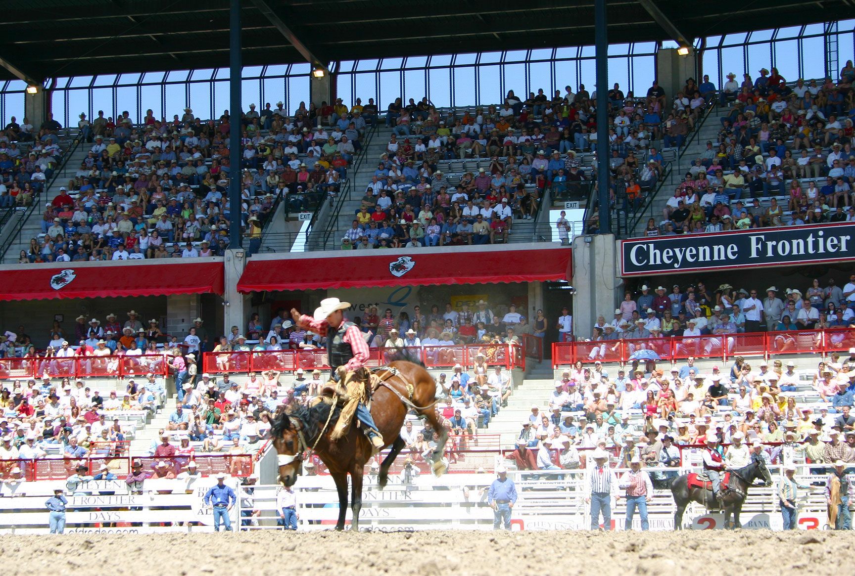Cowboy riding bareback, bucking bronco, horse, rodeo, Cheyenne Frontier Days, Cheyenne, Wyoming
