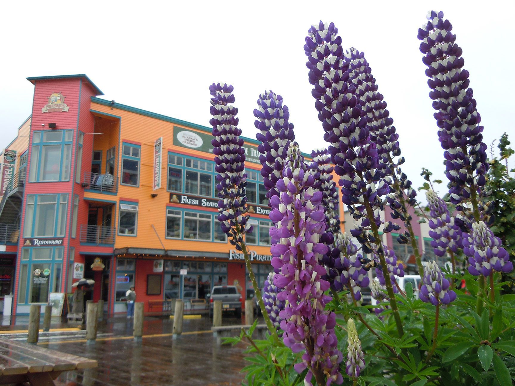 Ketchikan, Alaska, flowers, storefronts