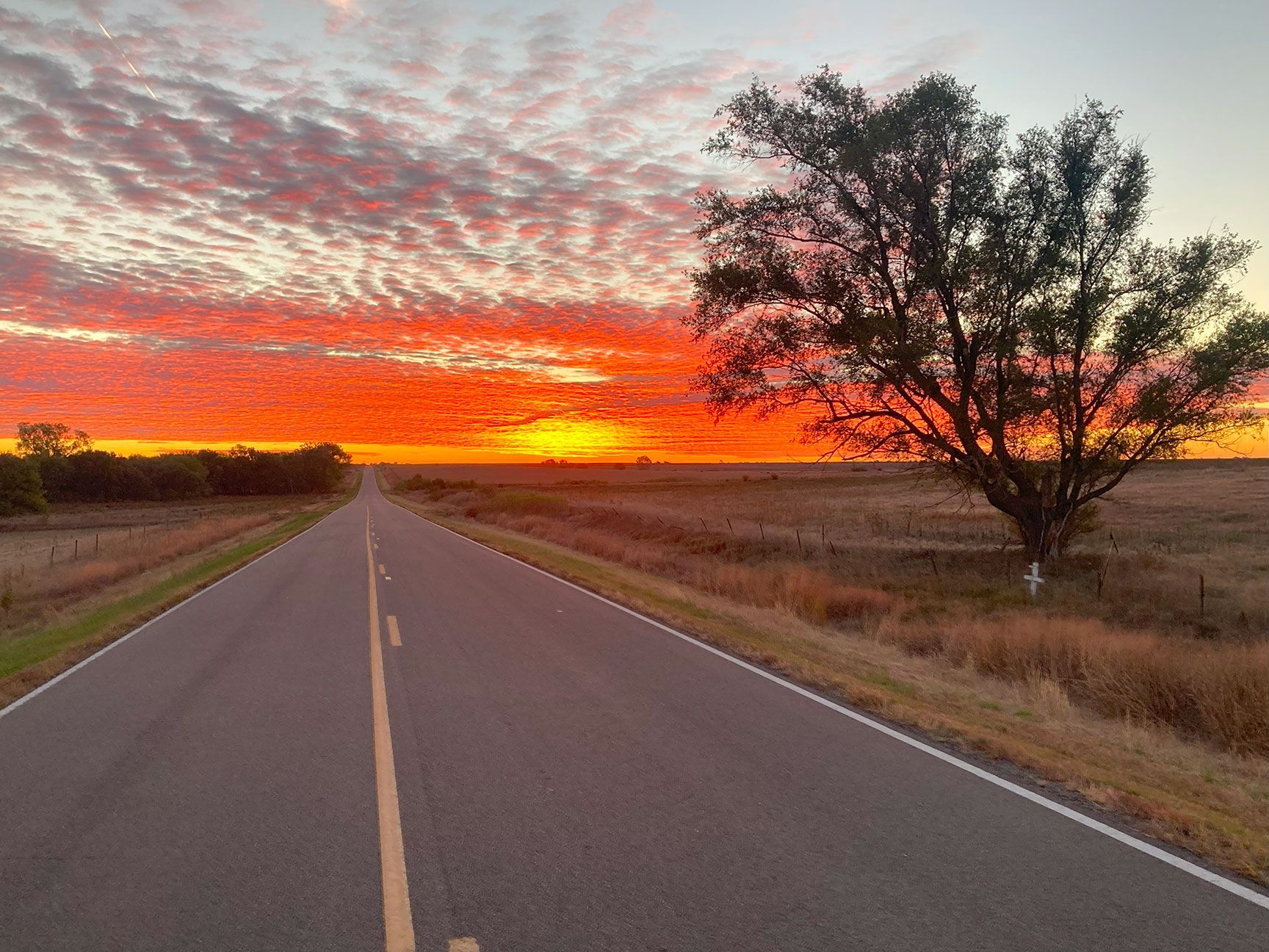 sunrise, road, asphalt, tree, field, county road, Kansas, sun