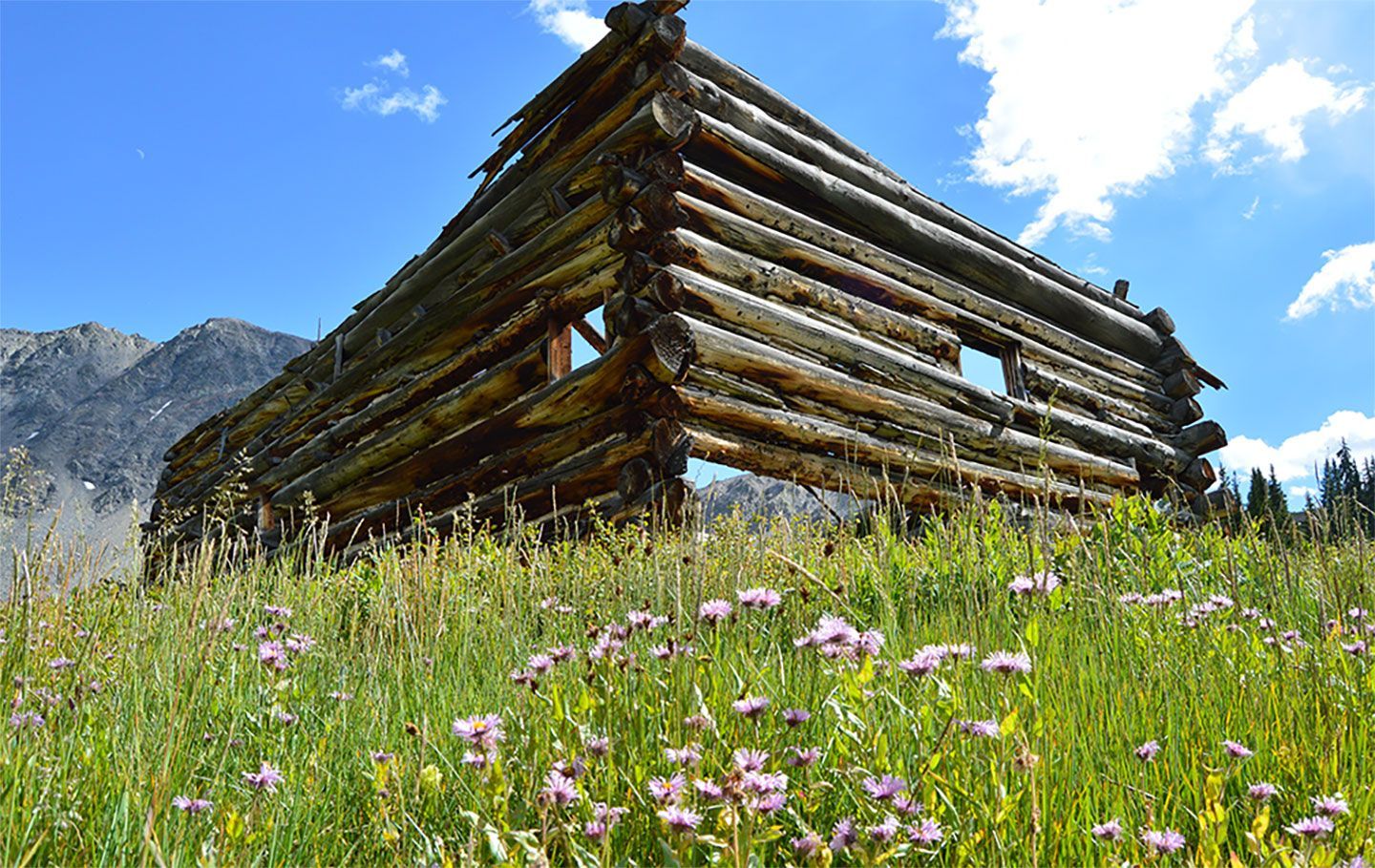 cabin, alpine, mountains, architecture, logs, Colorado