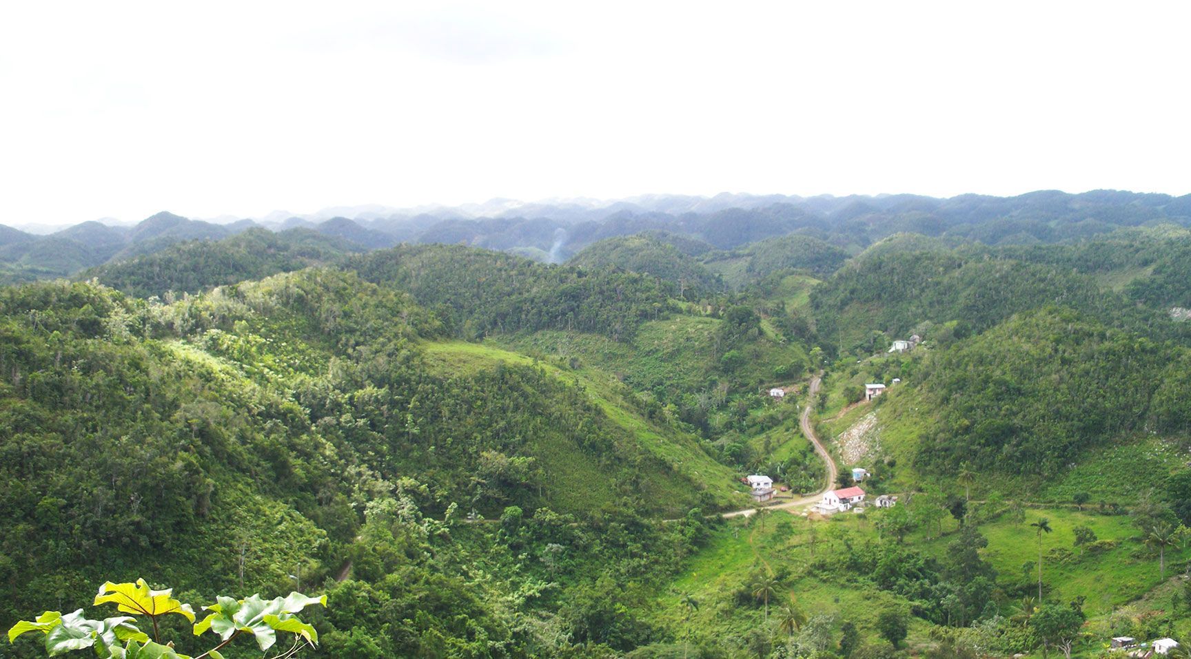 rolling hills, Jamaica