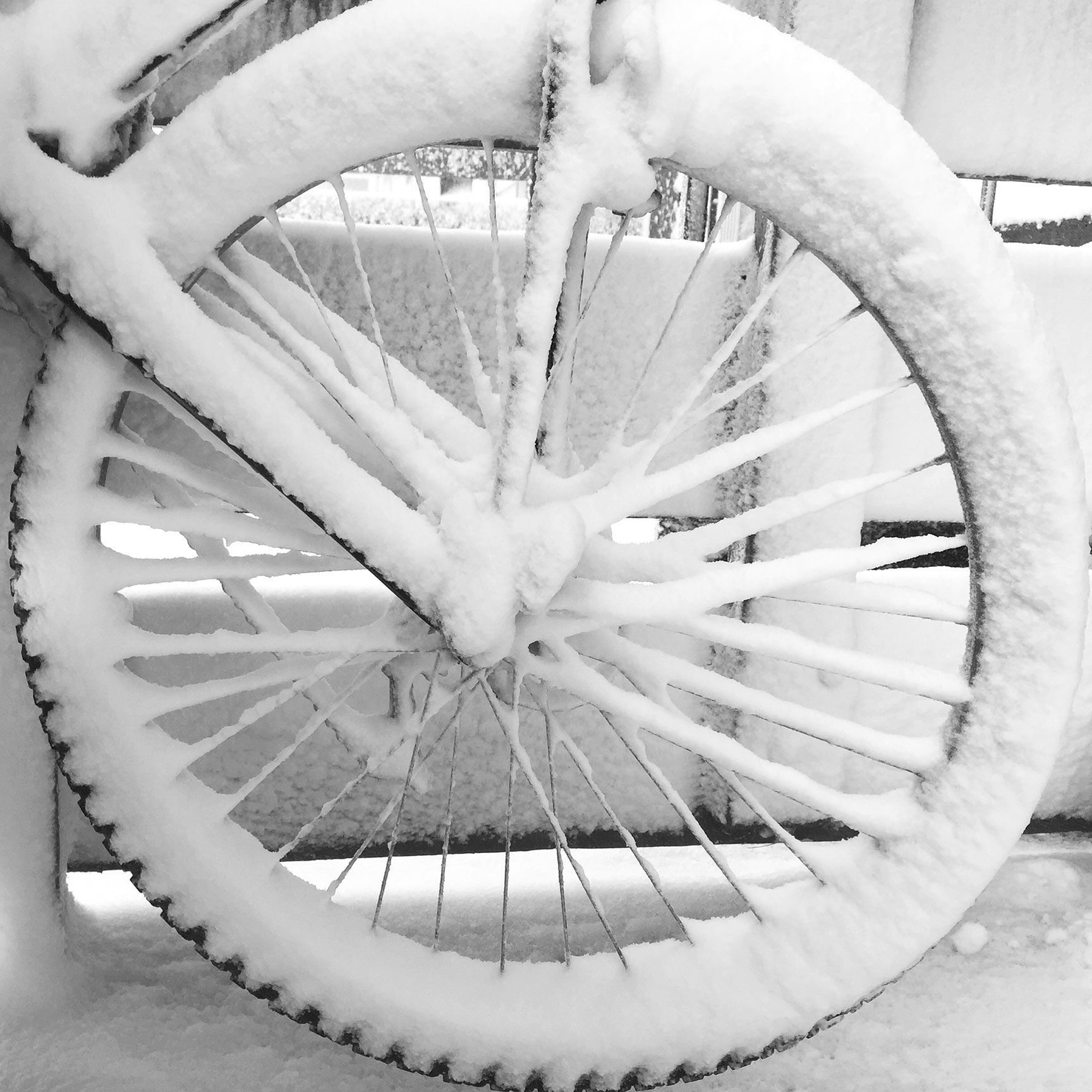 bicycle, snow, tire,