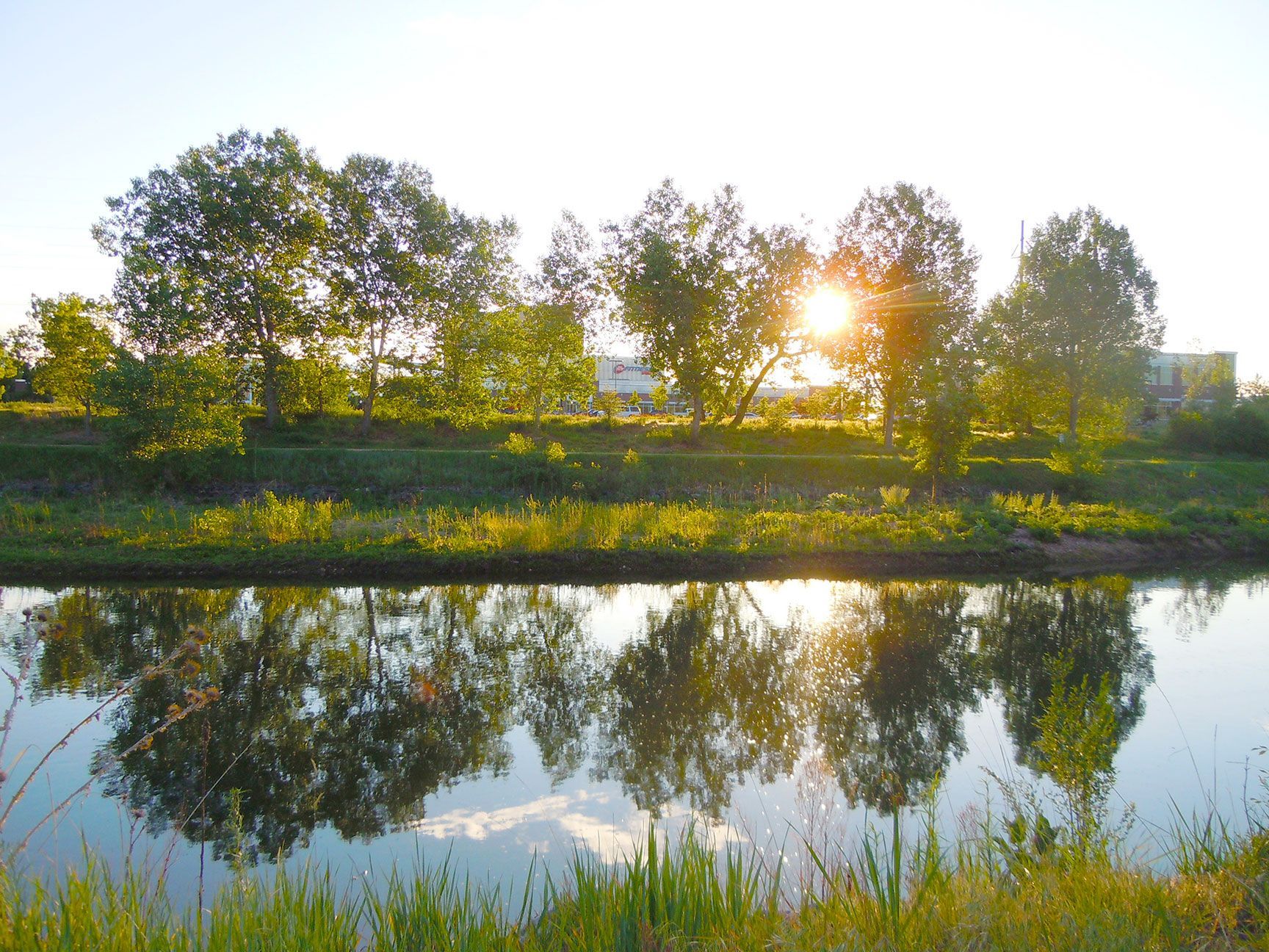 river, trees, Littleton, Colorado, South Platte River